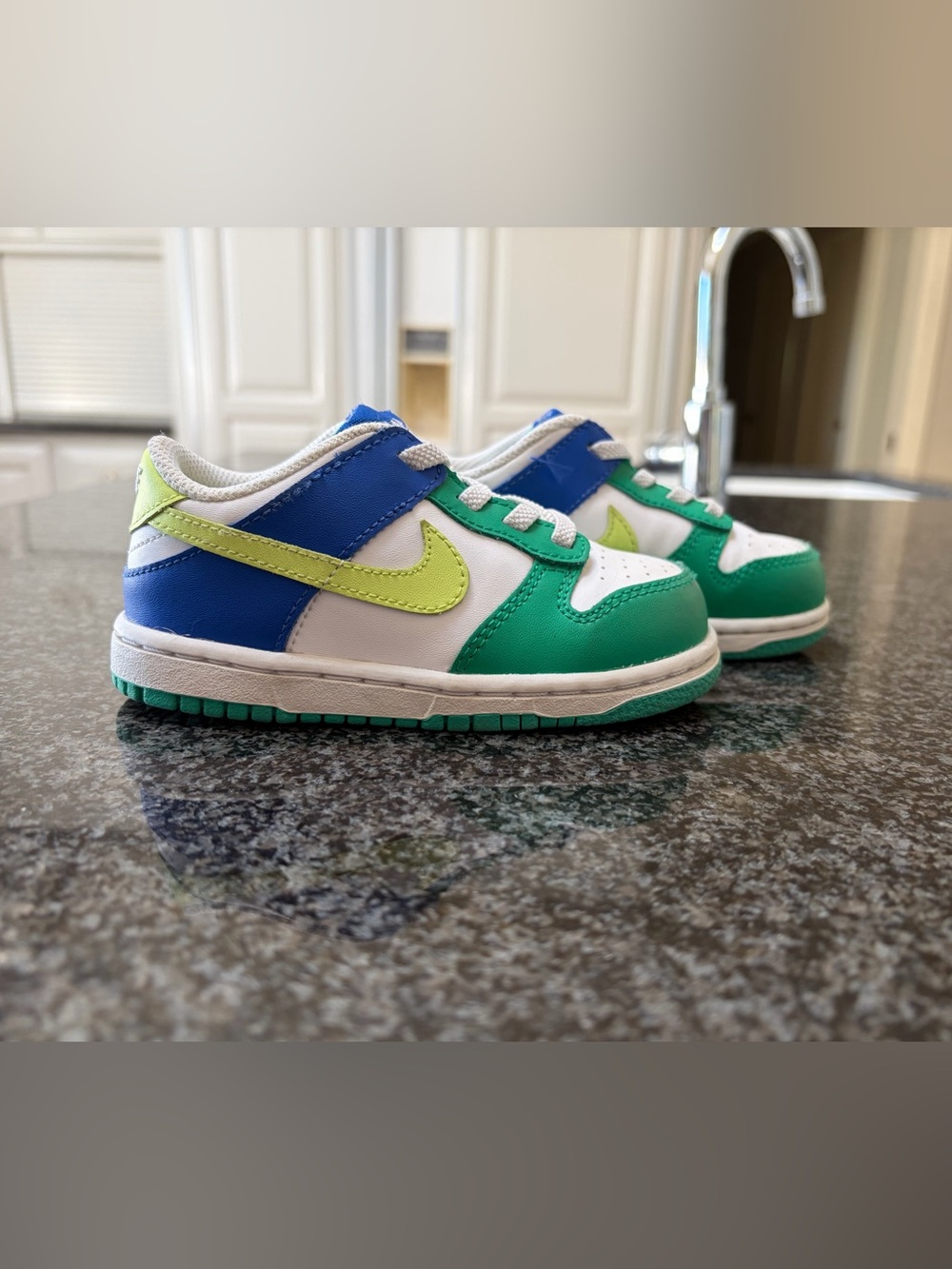 NIKE Dunk Low – Toddler Size 8C